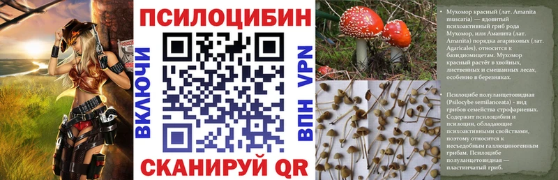 Псилоцибиновые грибы Psilocybine cubensis  где можно купить наркотик  Чернушка 